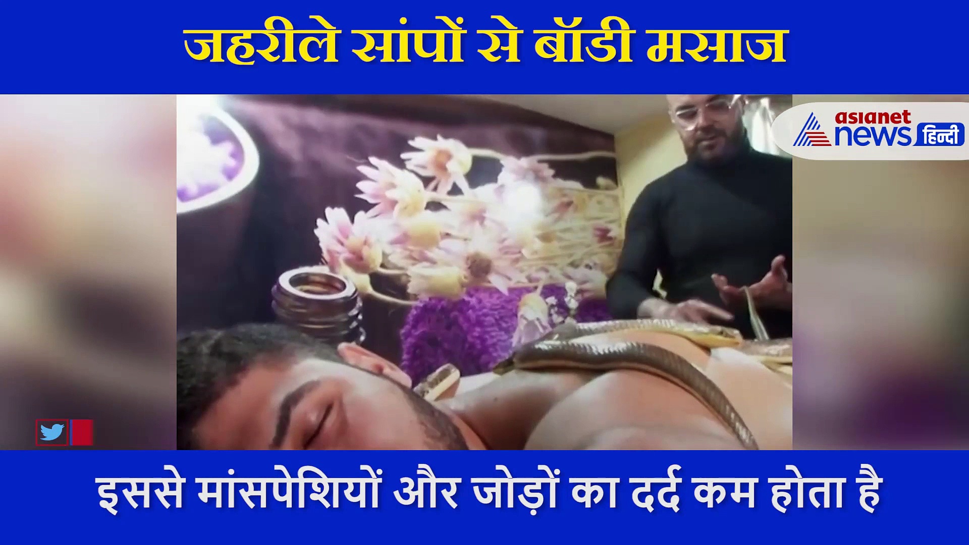 इस स्पा में जहरीले सांपों  से होती है मसाज, हैरान करने वाला वीडियो आया सामने