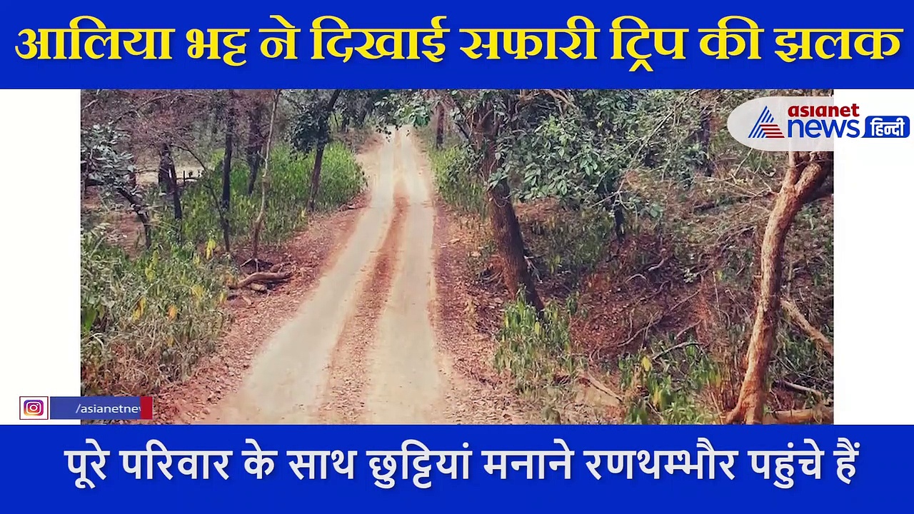 बॉयफ्रेंड के साथ छुट्टियां एंजॉय कर रहीं आलिया ने दिखाई अपने ट्रिप की झलक, वीडियो में नजर आया सुनसान जंगल