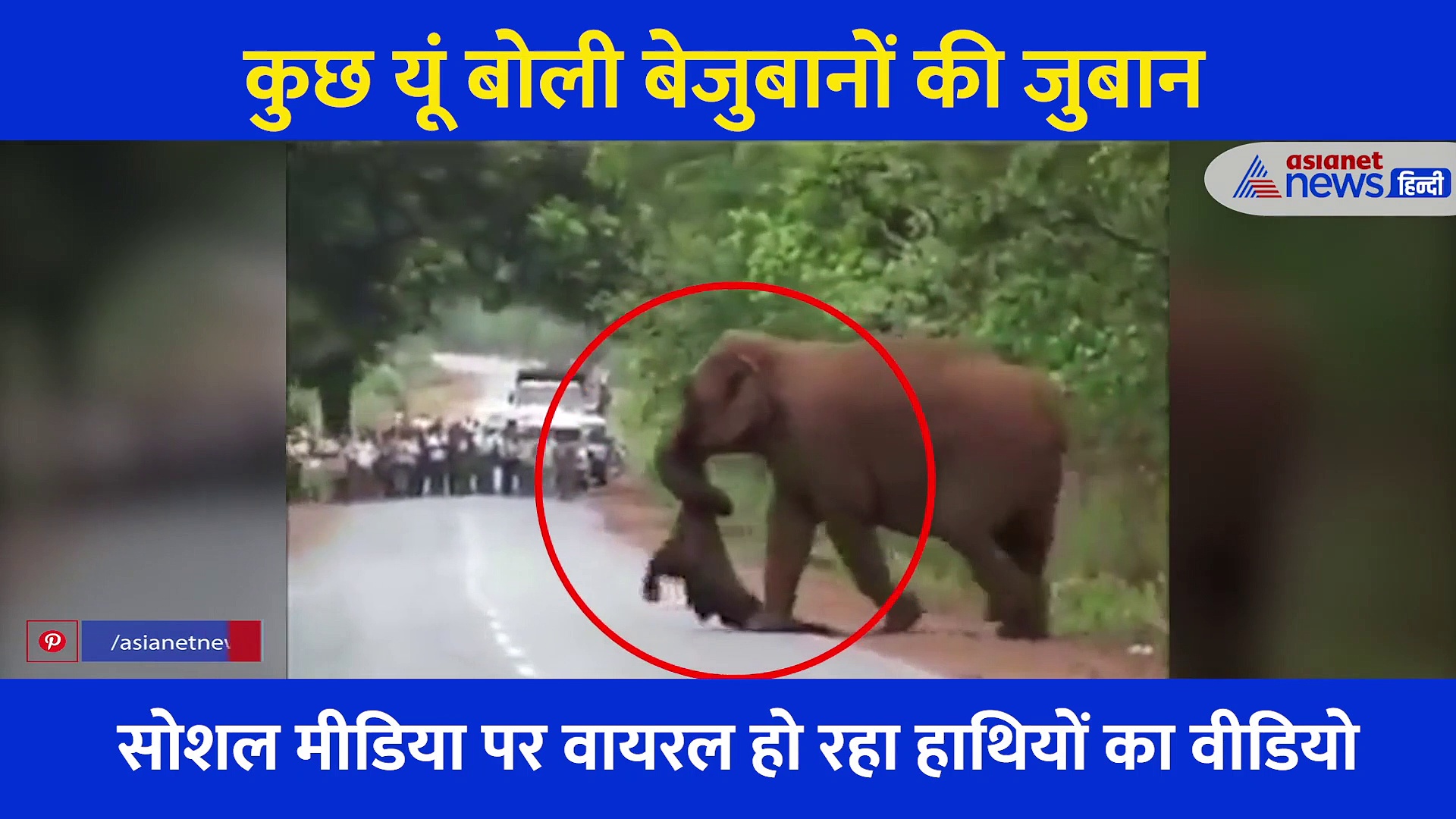 बच्चे की मौत के बाद हाथियों ने किया अंतिम संस्कार, इमोशनल कर देगा बेजुबानों का ये Video