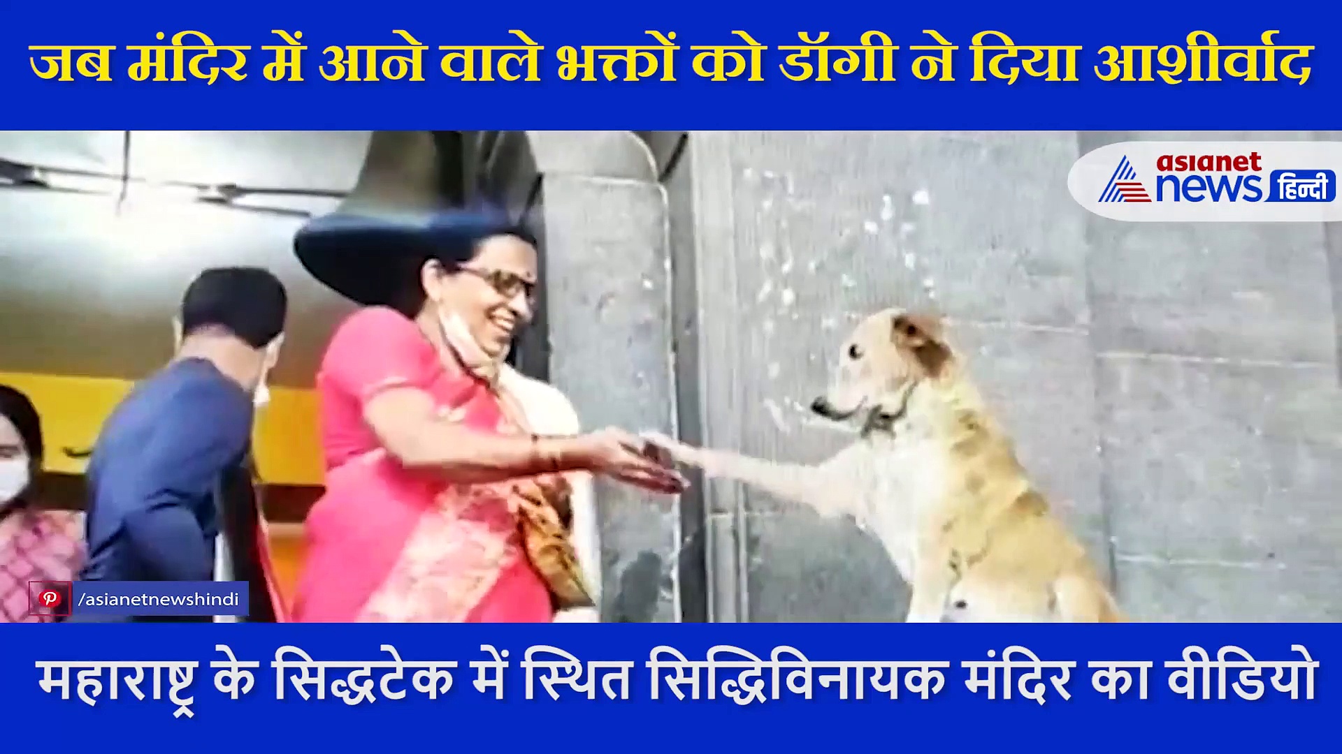 मंदिर में भक्तों को डॉगी देता है आशीर्वाद, सिर झुकाते लोगों से हाथ भी मिलता है