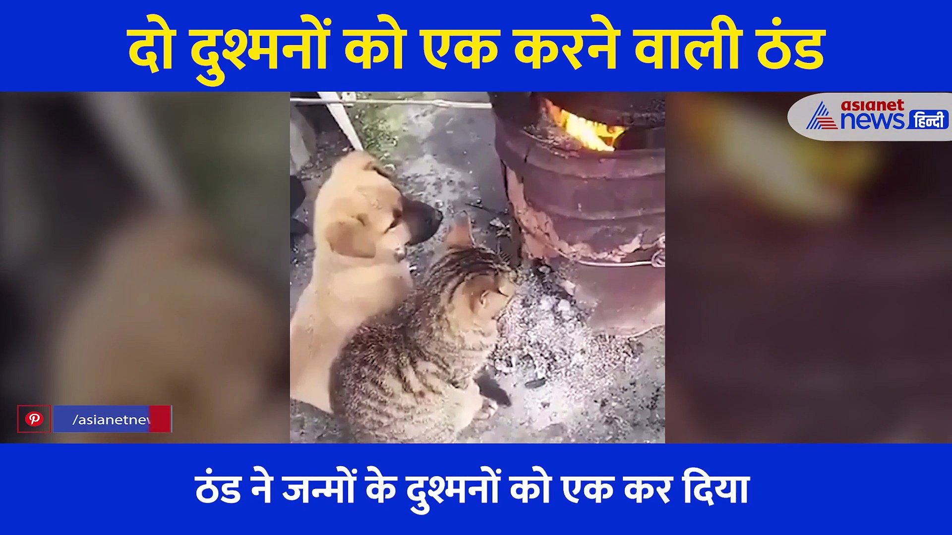 कहर बरपाती ठंड में सिर्फ इस वजह से दोस्त बने दो मशहूर दुश्मन,  वीडियो देख हर किसी ने की तारीफ