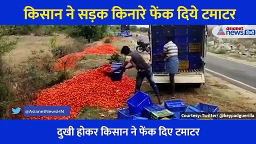 किसान ने सड़क किनारे फेंक दिये कई किलो टमाटर, वीडियो में समझ आएगा अन्नदाता का दर्द