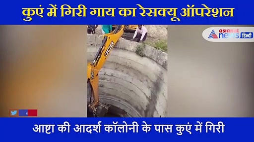 VIDEO:   कुएं में गिरी गाय, बाहर निकालने के लिए युद्ध स्तर पर ऐसे किया गया रेस्क्यू