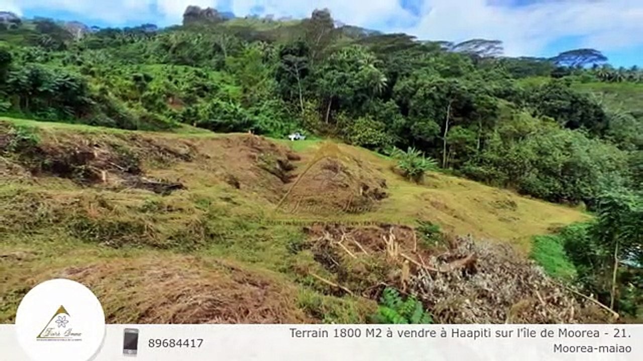 Terrain 1800 M2 à vendre à Haapiti sur l'île de Moorea - 21.