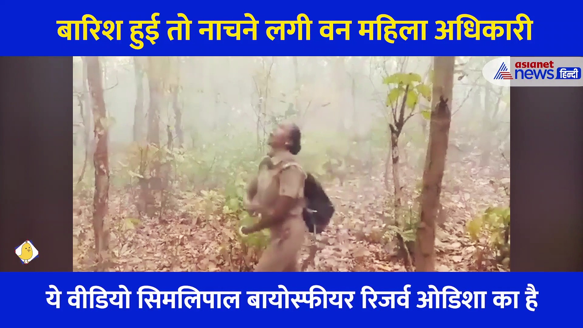 धधक रहे जंगलों में हुई झमाझम बारिश, तो खुशी से नाचने लगी वन महिला अधिकारी, देखें Video