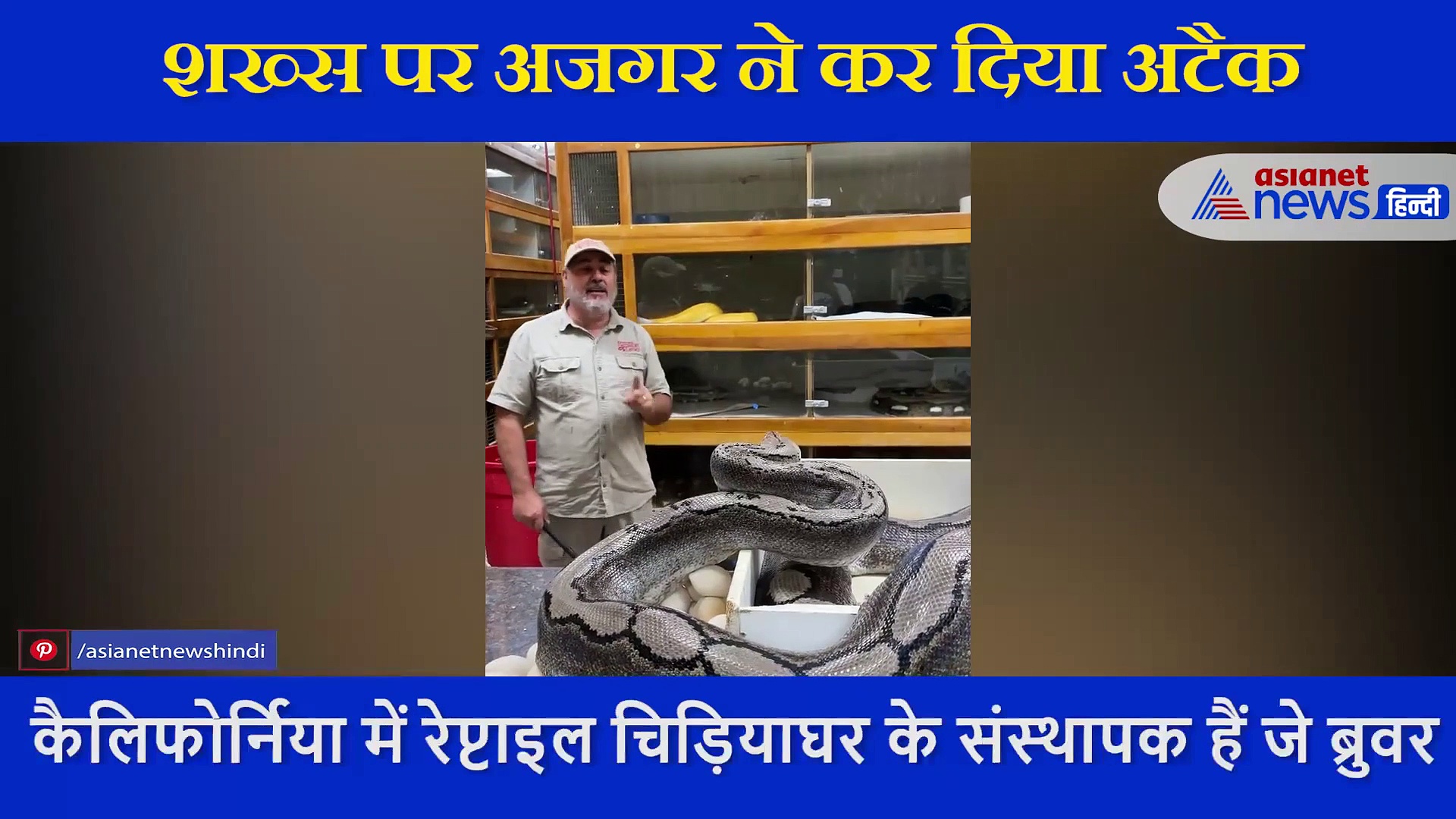 खतरनाक अजगर ने शख्स  पर किया ऐसे अटैक,  देख कर लोगों की भी निकल की चीख