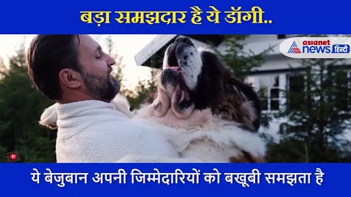 नदी में डूब जाती छोटी बच्ची, कुत्ते ने बचाई जान, सोशल मीडिया पर बन गया हीरो, देखें Video