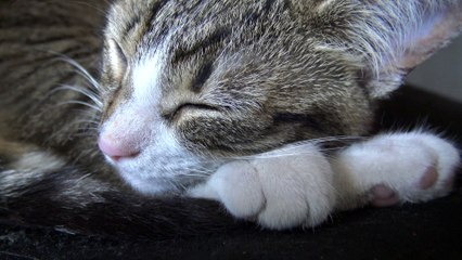 I Will Let Mom Touch My Little Nose