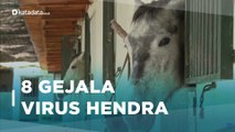 Apa Itu Virus Hendra, Benarkah Mematikan ? | Katadata Indonesia