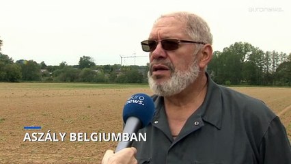 Rendkívüli szárazság sújtja Belgiumot