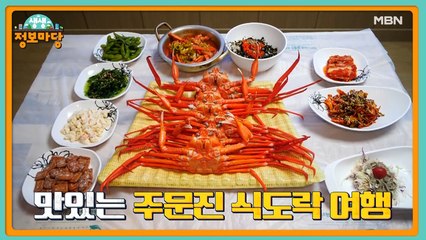 생생 정보마당 [1115회]