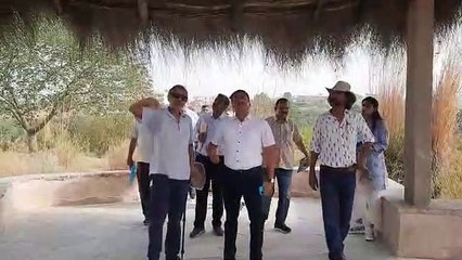 शहर में धोरे, राज्य भर की वनस्पति लुभा रही सैलानियों को