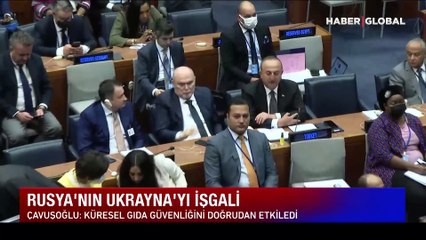 Buğdayda tehlike çanları çalıyor! Dünyada 10 haftalık stok kaldı