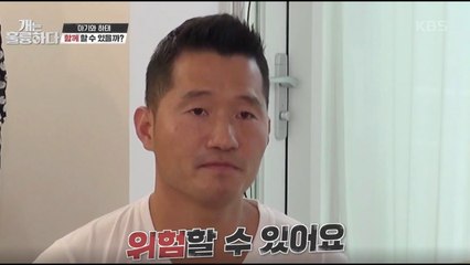 [개는 훌륭하다] 인터뷰 중 촬영 중단… 반려견과 아기, 선택의 기로에 놓인 보호자