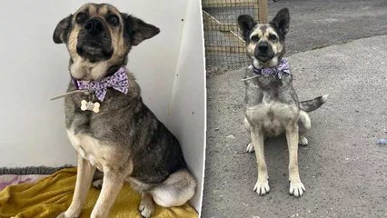 Sosyal medya kaderini değiştirdi: Zonguldak’tan Londra’ya gitti