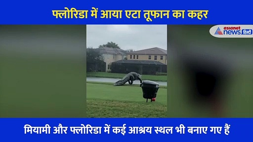 गोल्फ कोर्स पर आया गया विशालकाय  मगरमच्छ, वीडियो देख लोगों ने इसे बताया डायनासोर