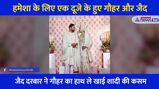 जैसे ही जैद ने कुबूला गौहर संग निकाह... शर्मा कर यूं खिलखिलाने लगीं एक्ट्रेस, सामने आया निकाह का वीडियो