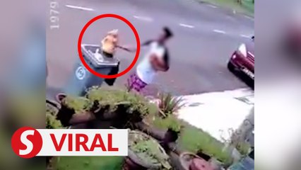 Cops hunting for man who dumped religious idol in rubbish bin