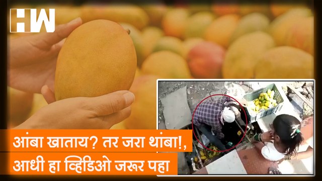 आंबा खाताय? तर जरा थांबा!, आधी हा व्हिडिओ जरूर पहा