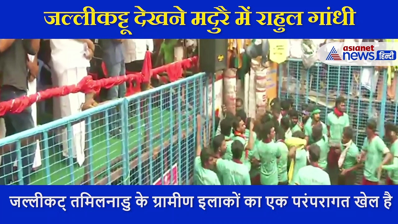 राहुल गांधी ने देखा जलीकट्टू, कहा- तमिल संस्कृति को देखना प्यारा अनुभव
