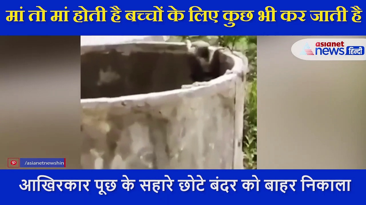 बच्चे की जिंदगी बचाने के लिए बंदर ने गजब लगाया दिमाग, मौत के मुंह से बंदर को ऐसे निकाल लाई मां