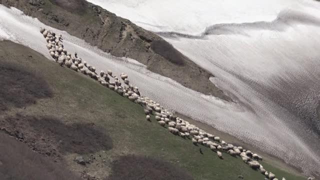 2 bin rakımlı Çambaşı Yaylası'nda karla mücadele sürüyor