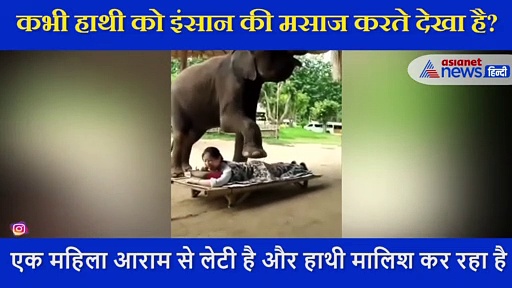 जब हाथी ने सूंड और पैर से कर डाली महिला की मालिश, मसाज का वीडियो हुआ वायरल