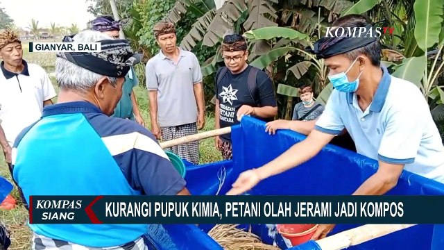 Cara Petani Mengolah Pupuk Kompos dari Jerami untuk Kurangi Polusi dan Ketergantungan Pupuk Kimia