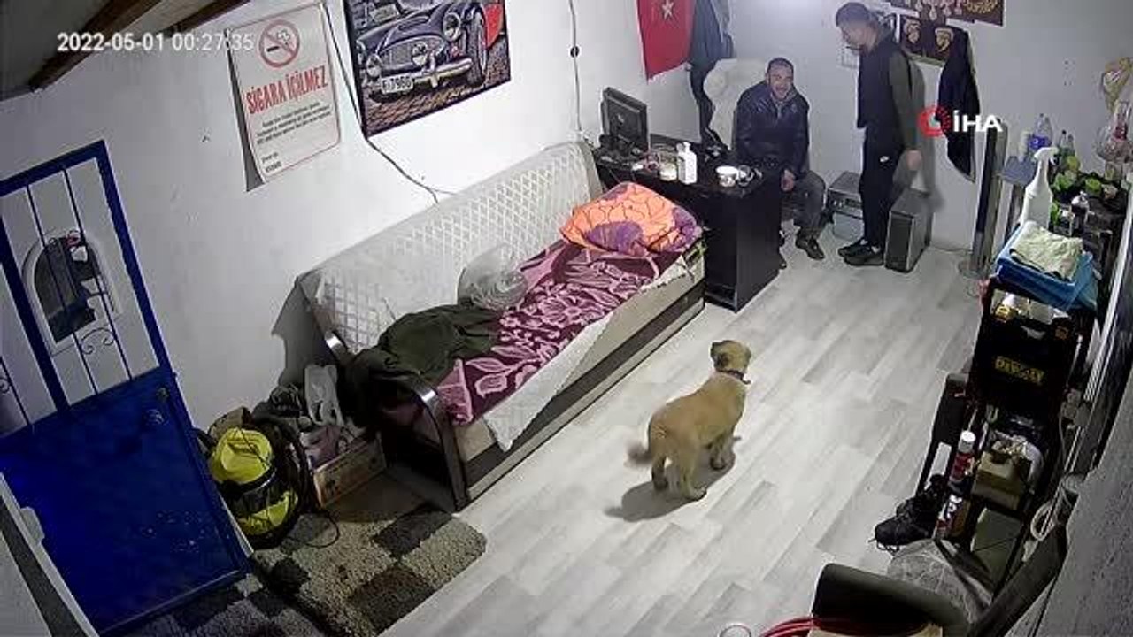İşyerine giren gencin köpekten korktuğu anlar kamerada