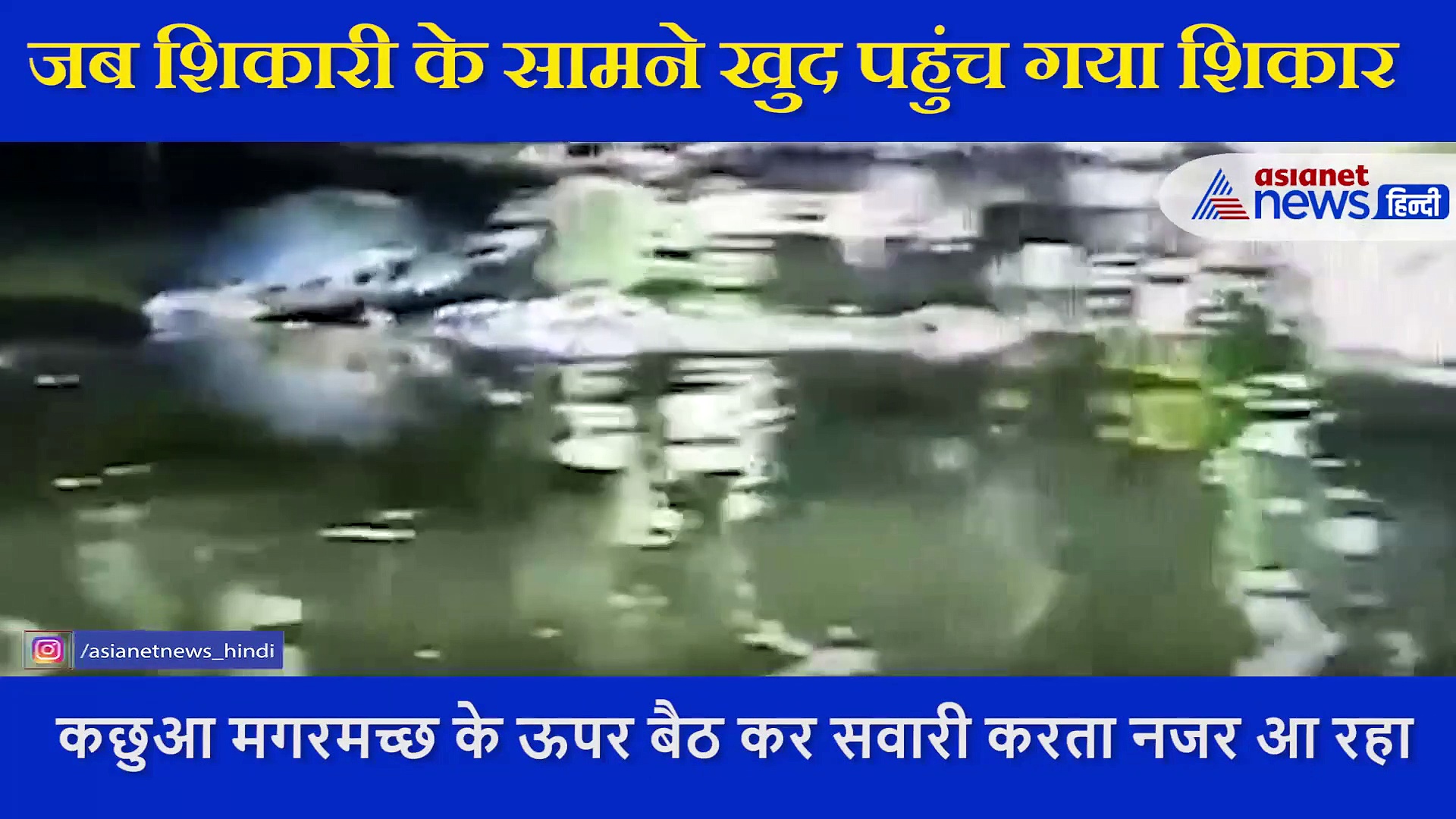 जब शिकारी के सामने खुद पहुंच गया शिकार,  ऊपर  बैठ करने लगा सवारी, देखें Video