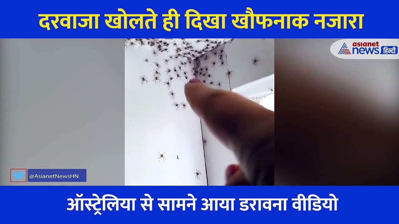 मां ने बेटी के कमरे की छत और दीवारों पर देखा खतरनाक नजारा... चीखते हुए निकली बाहर