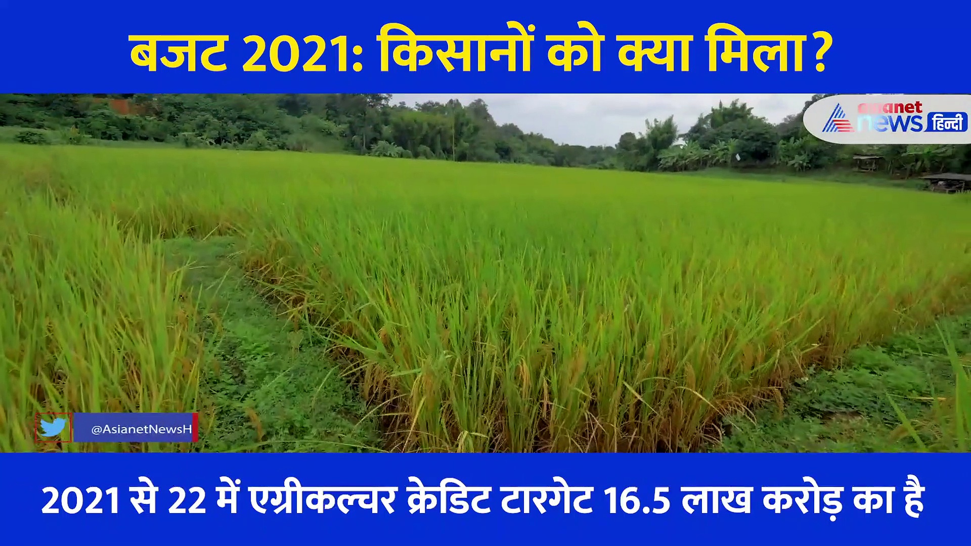 बजट 2021: किसानों को वित्तमंत्री का तोहफा, जानें कृषि सेक्टर को क्या मिला?