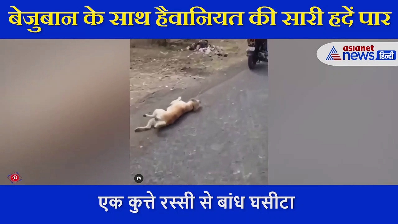 बेजुबान के साथ हैवानियत, वीडियो देखकर कांप जाएगा दिल