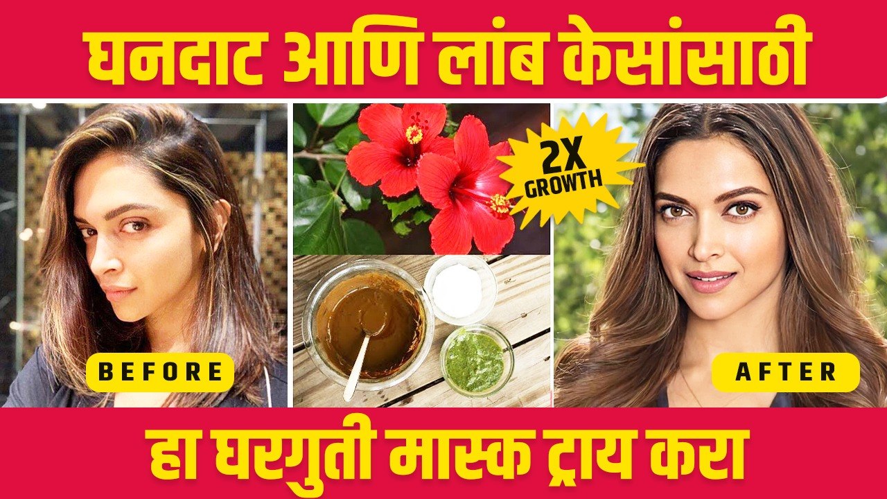 लांब सडक केसांसाठी घरगुती उपाय | How To Get Long hair Fast Naturally | Hibiscus For hair Growth