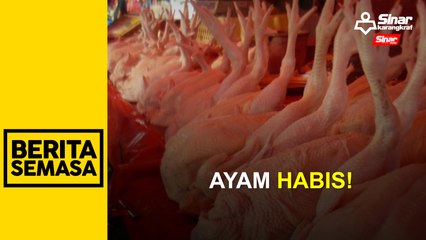 PPANS sahkan tiada bekalan ayam