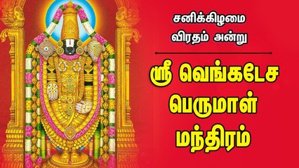 ஸ்ரீனிவாச கோவிந்தா | தினமும் காலை மாலை இந்த பாடல் ஒலிக்கும் இடத்தில் செல்வம் சேரும்