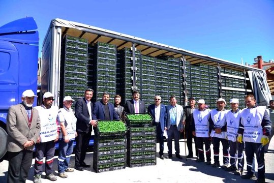 Kahramankazan'da çiftçilere 1 milyon 200 bin sebze fidesi dağıtıldı