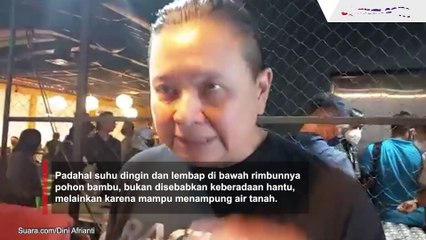 Ternyata Bukan Gegara Dedemit, Ini Penjelasan Ilmiah Suhu Dingin Pohon Bambu