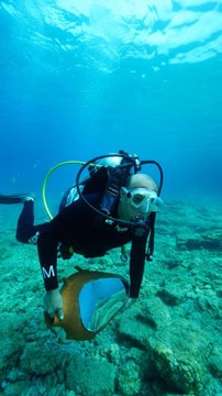 BODRUM'DA 22 SERAMİK VE HEYKEL SANATÇISININ ESERİ DENİZLE BULUŞTU