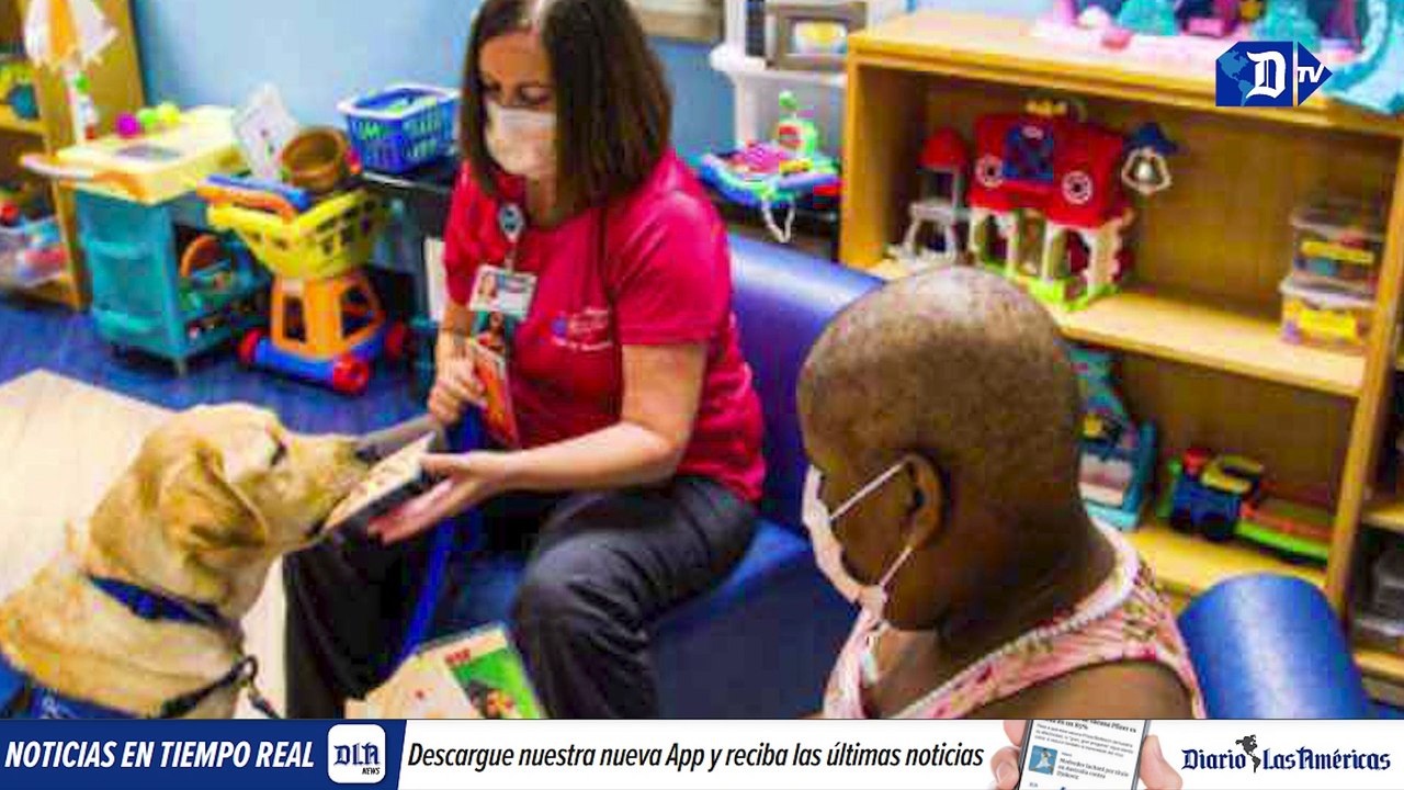 Perrito que responde a 40 voces de mando | La buena noticia