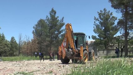 DİYARBAKIR - 25 yıllık ağaçlar sökülerek, zarar görmeden yeni yerlerine dikilecek