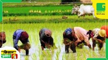 90% की सब्सिडी पर किसानों को मिलेंगे खरीफ फसलों के बीज, लाभ पाने के लिए किसान ऐसे करें आवेदन | Kisan Bulletin | Green TV