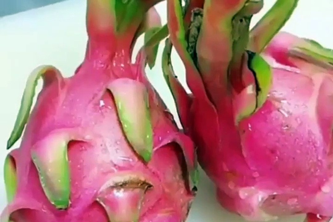 idea buah naga