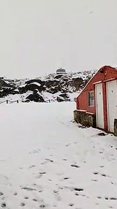 whatsapp video 2022-05-20 at 1.18.08 pm