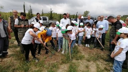 Erdemli'de "Dünya Arı Günü" kutlandı