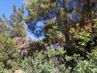 1 aydır kayıptı, ağaçta asılı bulundu