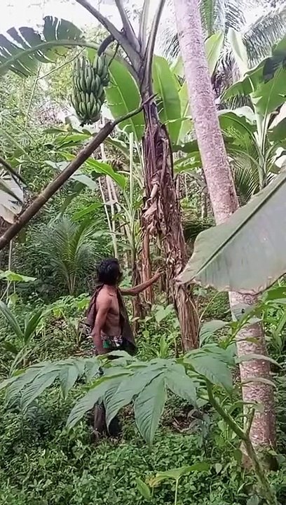 Dengarlah