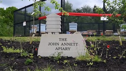 Harlow Carr New Apiary 20th May 2022