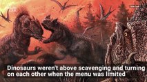 How Bite Marks From Dinosaurs Revealed Something Very Interesting