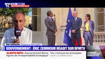 Éric Zemmour: 